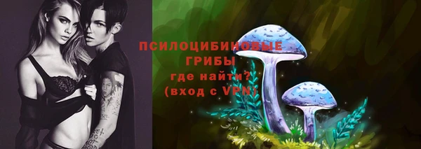 скорость Алзамай