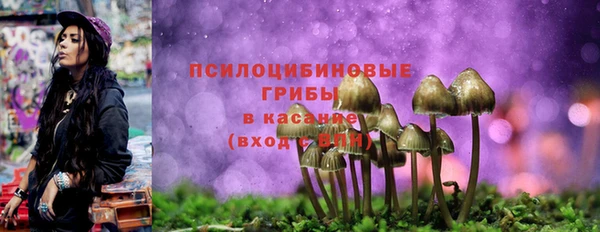 мет Алексин