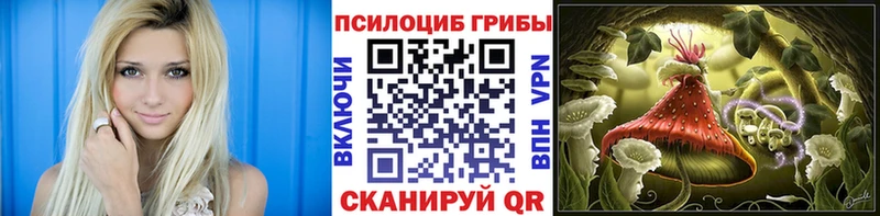 omg ссылки  наркота  Каневская  Псилоцибиновые грибы ЛСД 